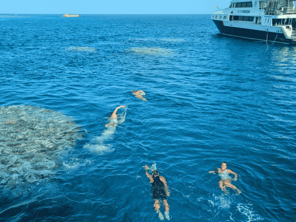 Eine Gruppe von Schwimmer*innen unternimmt in den klaren Gewässern vor Soma Bay einen Schorchelausflug im Roten Meer