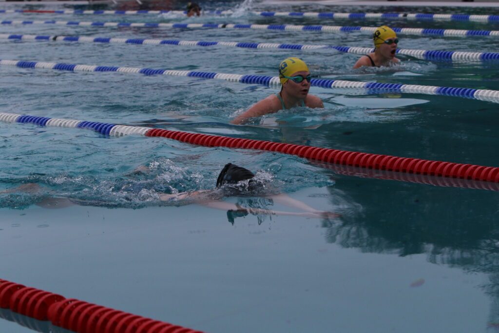 Eisschwimmerinnen schwimmen im Januar 2026 bei der dritten Station des Deutschlands-Ice-Cups in Veitsbronn bei Nürnberg